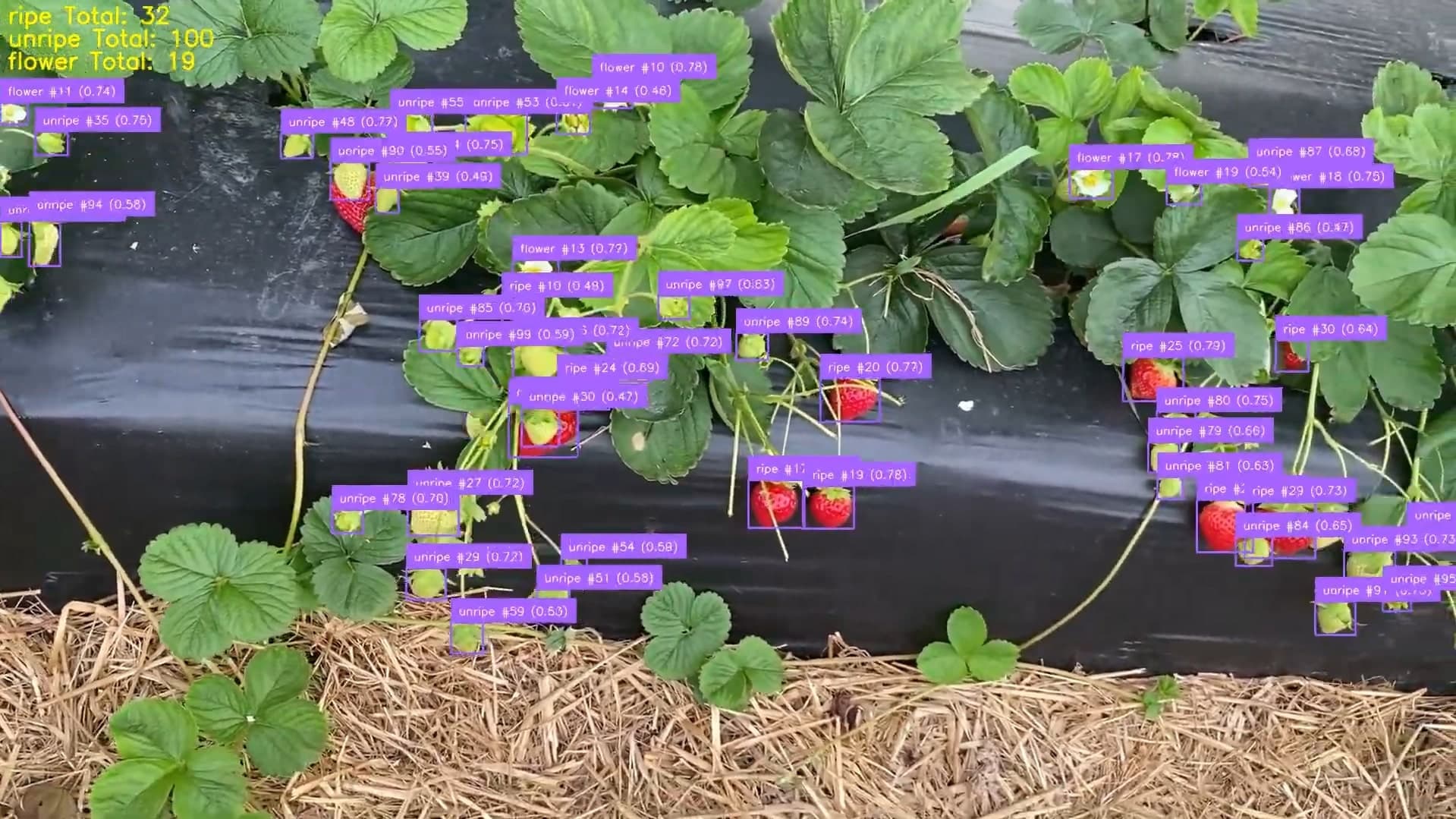 Built for Real Farms: Our Yield Prediction Algorithm