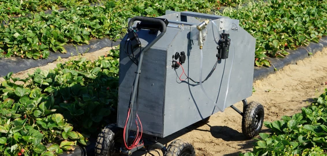 Ploomba autonomous wagon in strawberry field